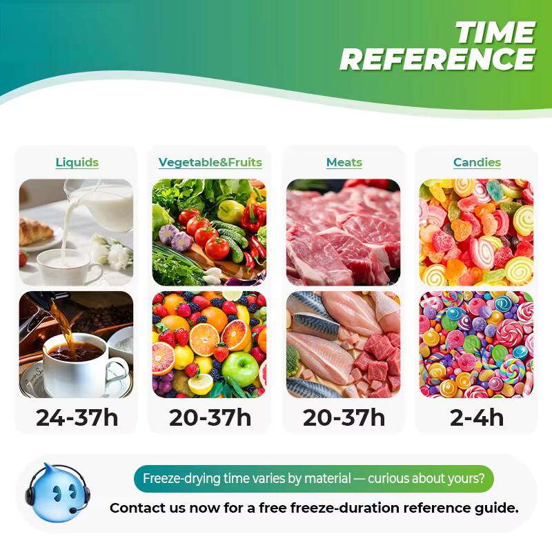 New For Pet Food Precio Del Li - Dried Fruit ulasan dan harga
