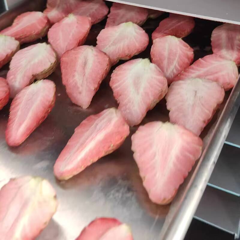 New 10kg Dried Food Vacuum Lyo - Dried Fruit ulasan dan harga